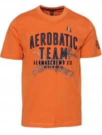 T-shirt AERONAUTICA MILITARE TS2219J641