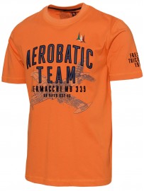 T-shirt AERONAUTICA MILITARE TS2219J641
